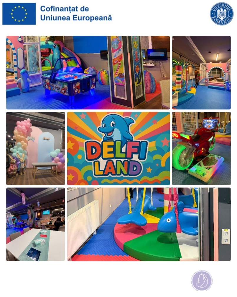 DELFI LAND SIBIU SRL