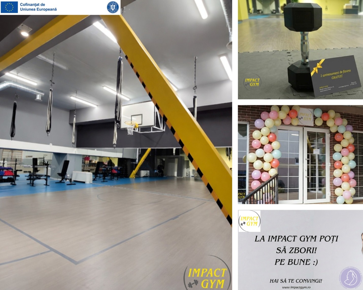 IMPACT GYM SRL